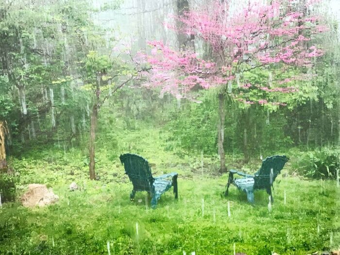 TRainy spring backyard viewed through large picture window in Michigan – Fred Gerendasy Photography