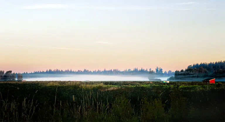 Red Barn In the Skagit Valley - Archival Pigment Print