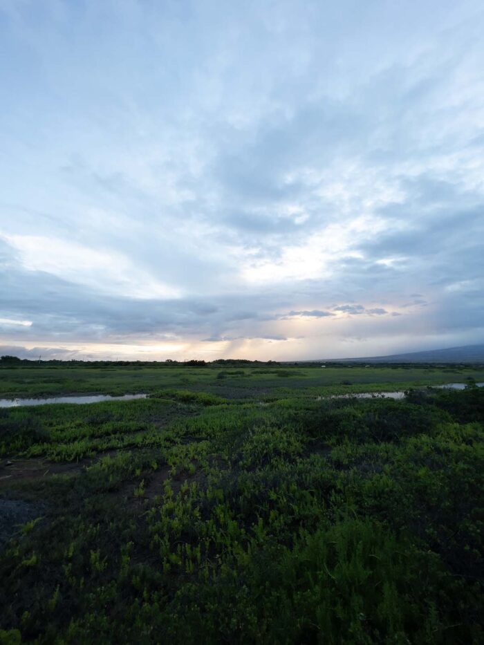 Original unedited version of Where Land Meets Sky At Sunrise by Fred Gerendasy Photography – early morning field and sky in Maui before post-processing