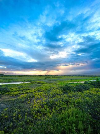 Where Land Meets Sky At Sunrise Print in 16" x 20" Frame - archival pigment print