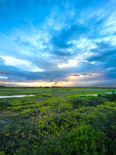 Where Land Meets Sky At Sunrise Print in 16" x 20" Frame - archival pigment print