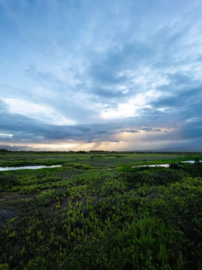 Where Land Meets Sky At Sunrise by Fred Gerendasy Photography – landscape photograph of morning sunlight breaking through clouds over a field in Maui