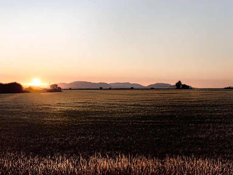 Setting Sun Across Open Field - Archival Pigment Print