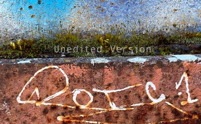 Unedited version of Dissolving Yellow Sky by Fred Gerendasy Photography – original photo of plant-covered graffiti wall with soft detail and texture