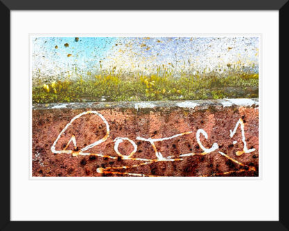 Framed Dissolving Yellow Sky print by Fred Gerendasy Photography – colorful archival photo of plant textures and graffiti presented in gallery-quality frame
