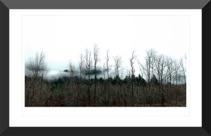 Framed fine art photo of dark tree silhouettes beneath a blank white sky – Fred Gerendasy Photography
