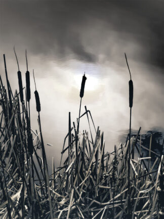 fine art photo titled 'Into Time' capturing the moment where fleeting light meets timeless space – Fred Gerendasy Photography