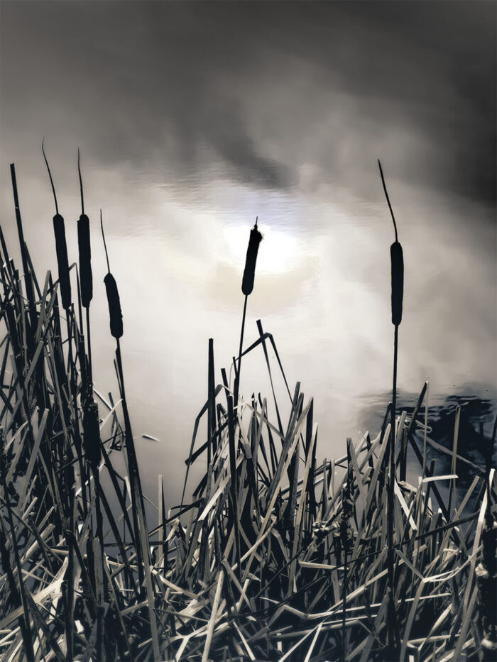 fine art photo titled 'Into Time' capturing the moment where fleeting light meets timeless space – Fred Gerendasy Photography