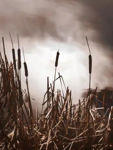 Into Time - Fine Art Archival Print