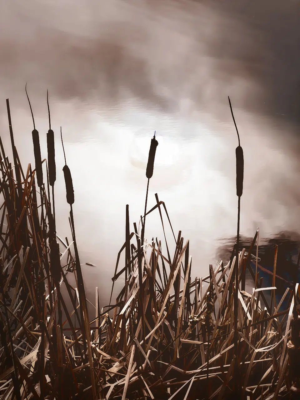 Into Time - Fine Art Archival Print