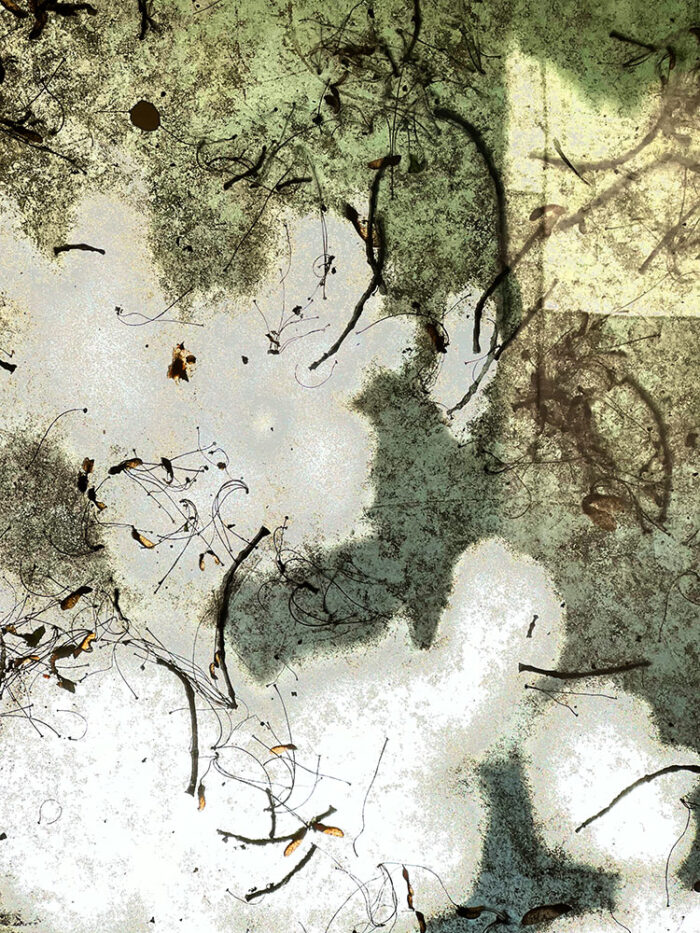 Patterns In Nature archival pigment print by Fred Gerendasy Photography – abstract close-up of awning with organic debris and light textures