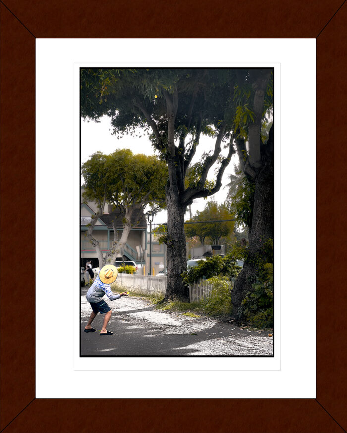 Framed The Mango Hunter print by Fred Gerendasy Photography – fine art archival photograph with storytelling imagery in gallery-quality frame