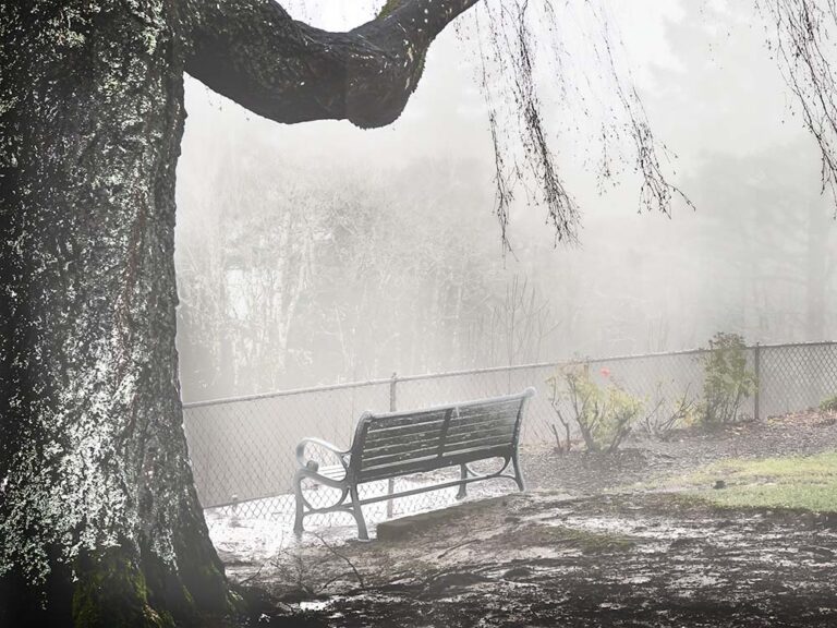 The Fog and The Bench – Archival Pigment Print