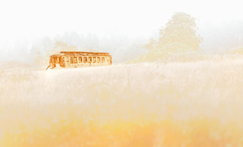 Out To Pasture - Trolley in the field