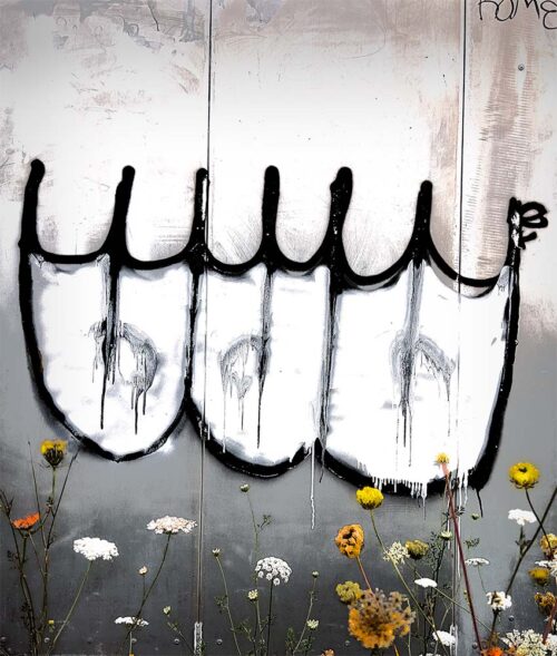 Graffiti and Flowers-fred-gerendasy-photography