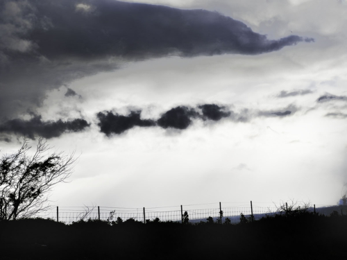 Fence And Cloud