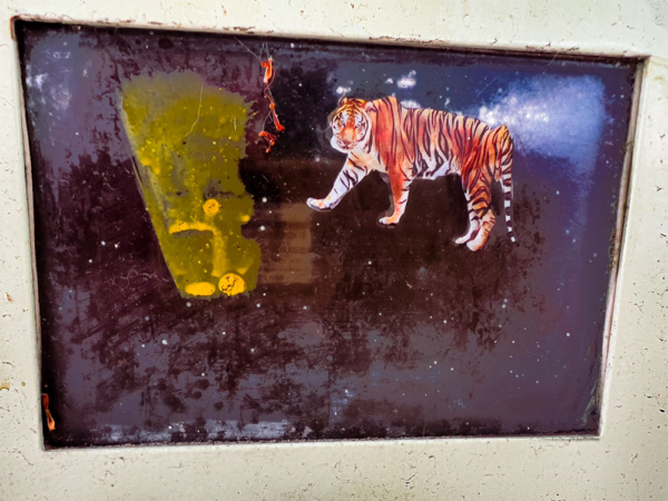 Logo of tiger on window close up abstract