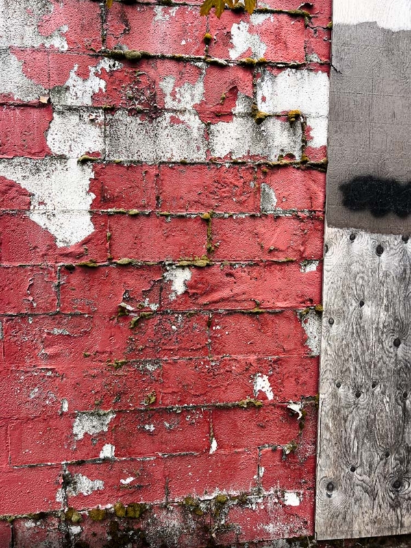a variety of colors and textures on this brick wall and shades of grey on a portion of attached plywood.