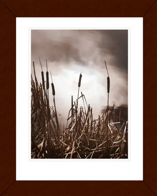 18" x22" wood mahogany finish frame Into Time -Archival Pigment Print