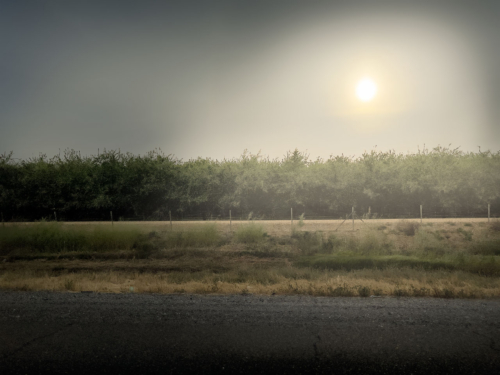 El Camino, California
