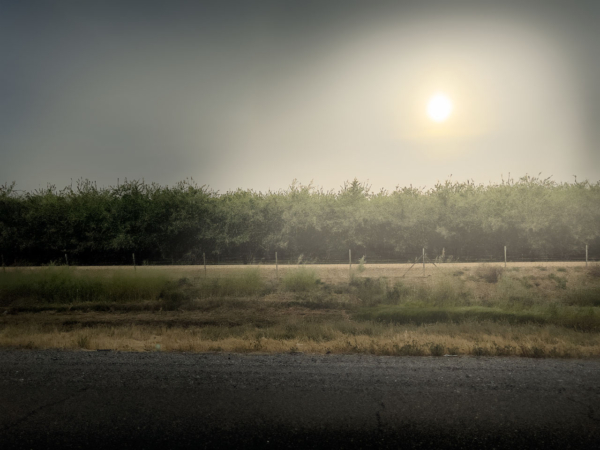 El Camino, California